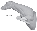 WT2-804